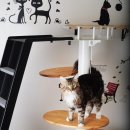 메인쿤 하우스 이미지