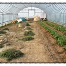 태만농장 이미지