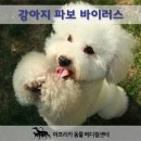 아프리카동물병원 이미지