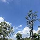 순천간이음식점 이미지