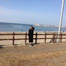 해월정서귀포점 이미지