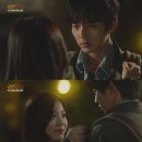 상상고양이 이미지