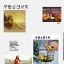 부평성산교회 성전꽃꽂이 사진모음 (2025년 11월) 이미지