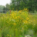 형연농장 이미지