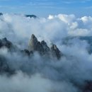 자유-희망 이미지