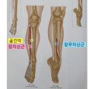 테크노도담한의원 이미지