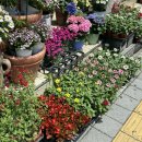 바래길화장실 | 남해바래길 1코스 바래오시다길 !!!