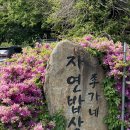 이가네 밥상 | [남양주] 양평 두물머리 맛집 이가네자연밥상/ 숯불 돼지고기 쌈밥과 미라리 부추전 내돈내산 후기