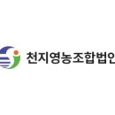 천지 영농조합 법인 이미지