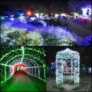 일영랜드 이미지