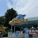 서울랜드 출동 슈퍼윙스 감성텐트 대여 후기