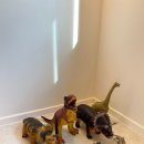 아이조아라 이미지