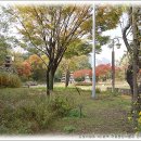 미디어 콘텐츠 활용 이미지