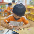 별빛수족관 이미지