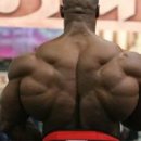 워너바디 이미지