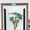 오거리당구클럽 이미지