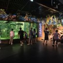 41190-01-07-319 | 단양 가볼만한곳 다누리아쿠아리움｜입장료·주차·관람시간 직접 다녀온 후기