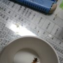 오늘의 실험왕 이미지