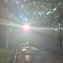 자황한방병원 이미지