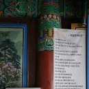 이모하여행사 이미지