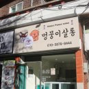 멍뭉이 살롱 이미지