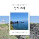여행 일지) 🌊 제주 섭지코지, 한 번도 안 가본 사람은 있어도 한 번만 가본 사람은 없다는 그곳