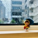 엘제이비 이미지