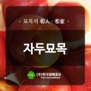 한국원예종묘 이미지
