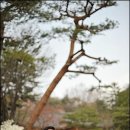 (주)녹지원 이미지