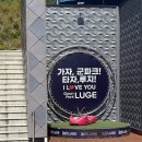 대구아이와가볼만한곳, 청도 테마파크 루지 ! 솔직후기 !!!!