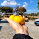 25시가든 이미지