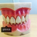 상아치과 이미지