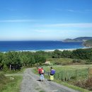 피스테라 이미지