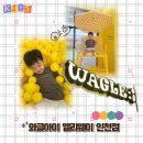 도화다누리어린이집 | 와글아이 앨리웨이 인천점 : 도화 키즈카페 27개월 아기랑 방문 찐후기