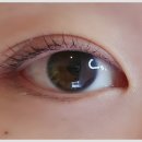 유유속눈썹(UU속눈썹) 네이버블로그
