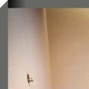 연아성형외과의원 이미지