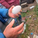 기봉농장 이미지