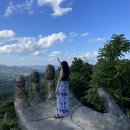 ㈜마이팩투어 | 마이리얼트립 1월 할인쿠폰 | 세부 고래상어 호핑 투어 출국팩 실내 체험