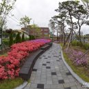 산철쭉어린이공원 이미지