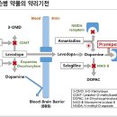 하지불안까지 잡는 ‘멀티플레이어’ 미라펙스정(Mirapex Tablet) 이미지