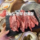 안동 용상 신상맛집 오늘도 한우, 질 좋은 한우 착한 가격까지 대만족