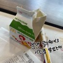 토마토의료기 | 최별의 홍콩 여행기 2일차(1)