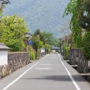 고양이 마을 이미지