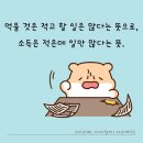 식소사번 이미지