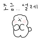 요거트아이스크림의정석인동점