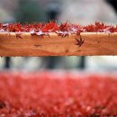 더좋은사진
