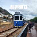(주)블루관광여행사 | 해운대 블루라인파크 스카이 캡슐과 해변 열차 차이점 이용 후기 부산 여행 코스 추천