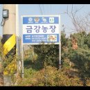 금강 농장 이미지