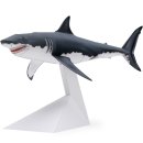 그레이트 화이트 상어(Great White Shark) 이미지