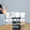 [동의보환] 초고 함량 비오틴, 맥주효모 함유 하루모환 후기